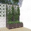 Garden Planter with Trellis Brown 31.5"x15.7"x47.8" PP