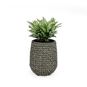 13.4" Self-watering Wicker Planter - Garden Decoration Pot - Gray - Round