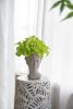 Greek Style Cement Head Planter - Indoor Outdoor Home Garden Decor, D7" x 11"