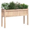 Garden Planters 2 pcs with Legs Solid Wood Pine