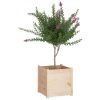 Garden Planter 19.7"x19.7"x19.7" Solid Wood Pine