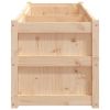 Garden Planter 70.9" x 19.7" x 19.7" Solid Wood Pine