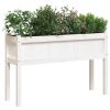 Garden Planters 2 pcs with Legs White Solid Wood Pine