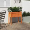 Garden Planter with Legs Wax Brown 27.6"x12.2"x27.6" Solid Wood Pine