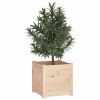 Garden Planters 2 pcs 15.7"x15.7"x15.7" Solid Wood Pine