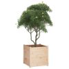 Garden Planter 23.6"x23.6"x23.6" Solid Wood Pine