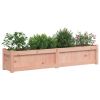 Garden Planter 59.1"x12.2"x12.2" Solid Wood Douglas