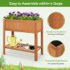 Outdoor Raised Garden Bed Fir Wood Planter Box with Bottom Storage Shelf and Protective Liner