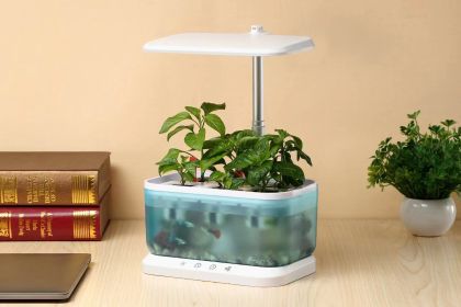 Mini Intelligent Hydroponic Planter Suitable For School, Family, Office, Home, Gift (Colour: Blue)