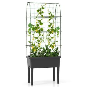 Self-watering Raised Garden Bed Elevated Planter with Climbing Trellis (Color: Black)