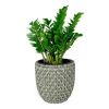 14.6" Self-watering Wicker Planter - Garden Decoration Pot - Gray - Round