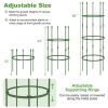 3-Pack Garden Trellis 40"/60" Tall Plant Support Stands with Clips and Ties