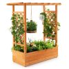 Raised Garden Bed with Trellis or Climbing Plant and Pot Hanging