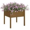 Garden Planter Honey Brown 27.6"x27.6"x27.6" Solid Wood Pine