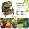 Vertical Raised Garden bed with 3 Wooden Planter Boxes