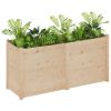 Garden Planter 59.1"x19.7"x27.6" Solid Wood Pine